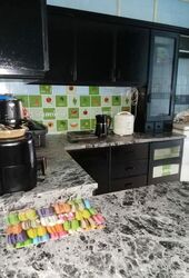 Blk 270 Bishan Street 24 (Bishan), HDB 4 Rooms #455443211
